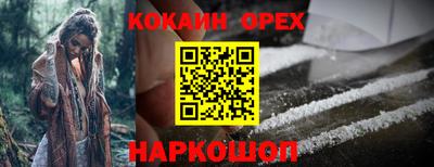 прущие крисы Братск
