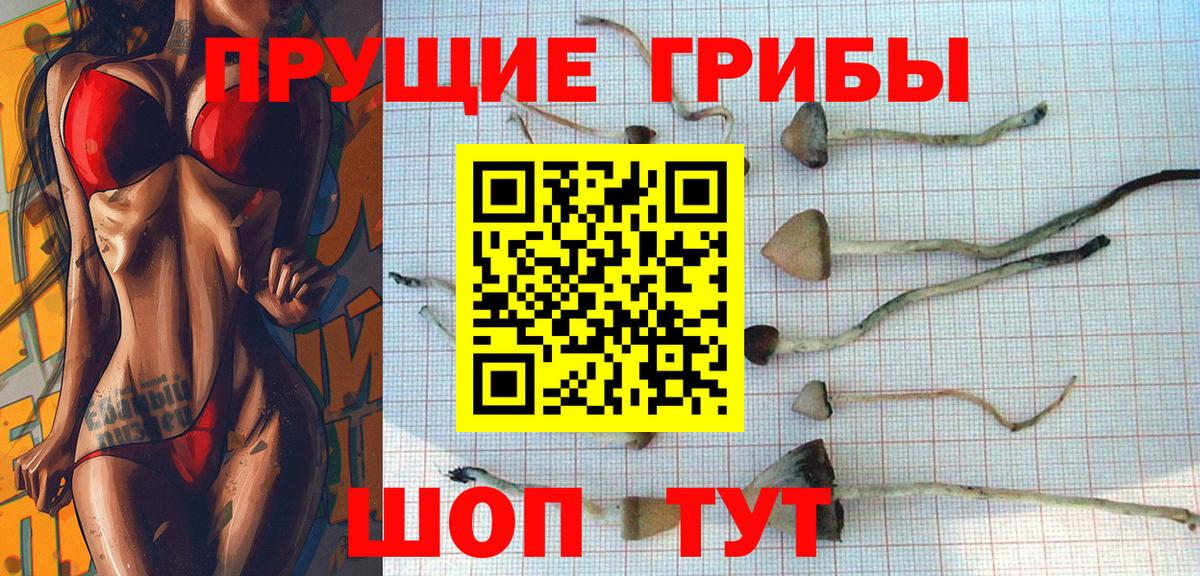 Галлюциногенные грибы GOLDEN TEACHER Аргун